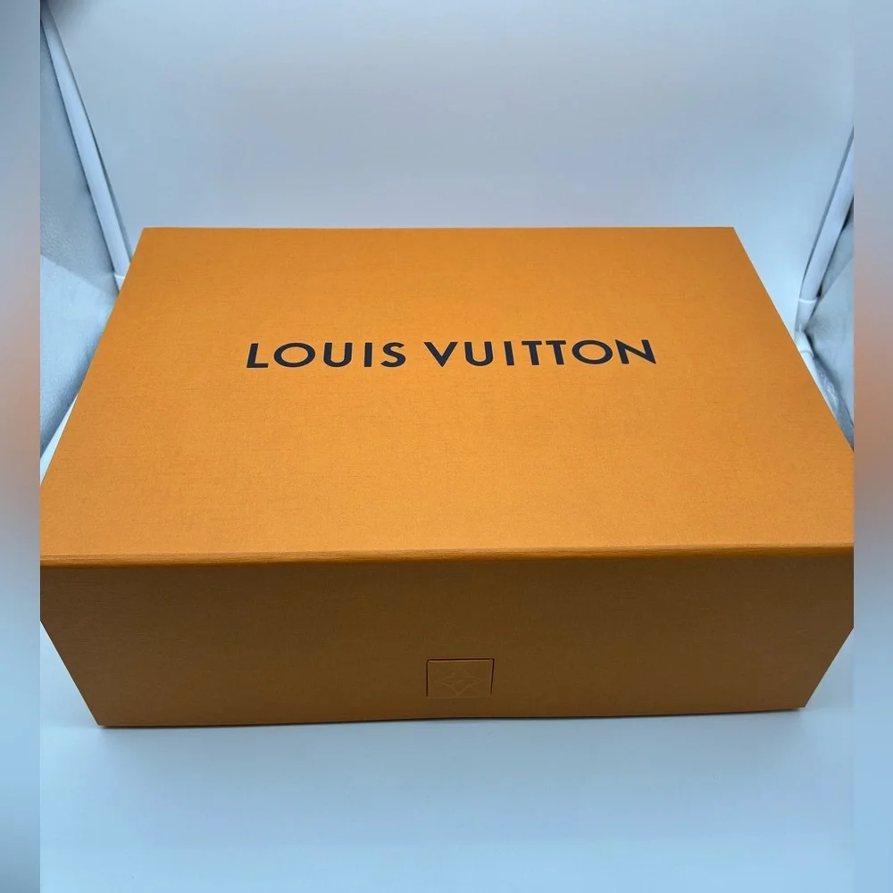 New Louis Vuitton large box